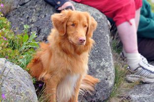 Knut June 2009